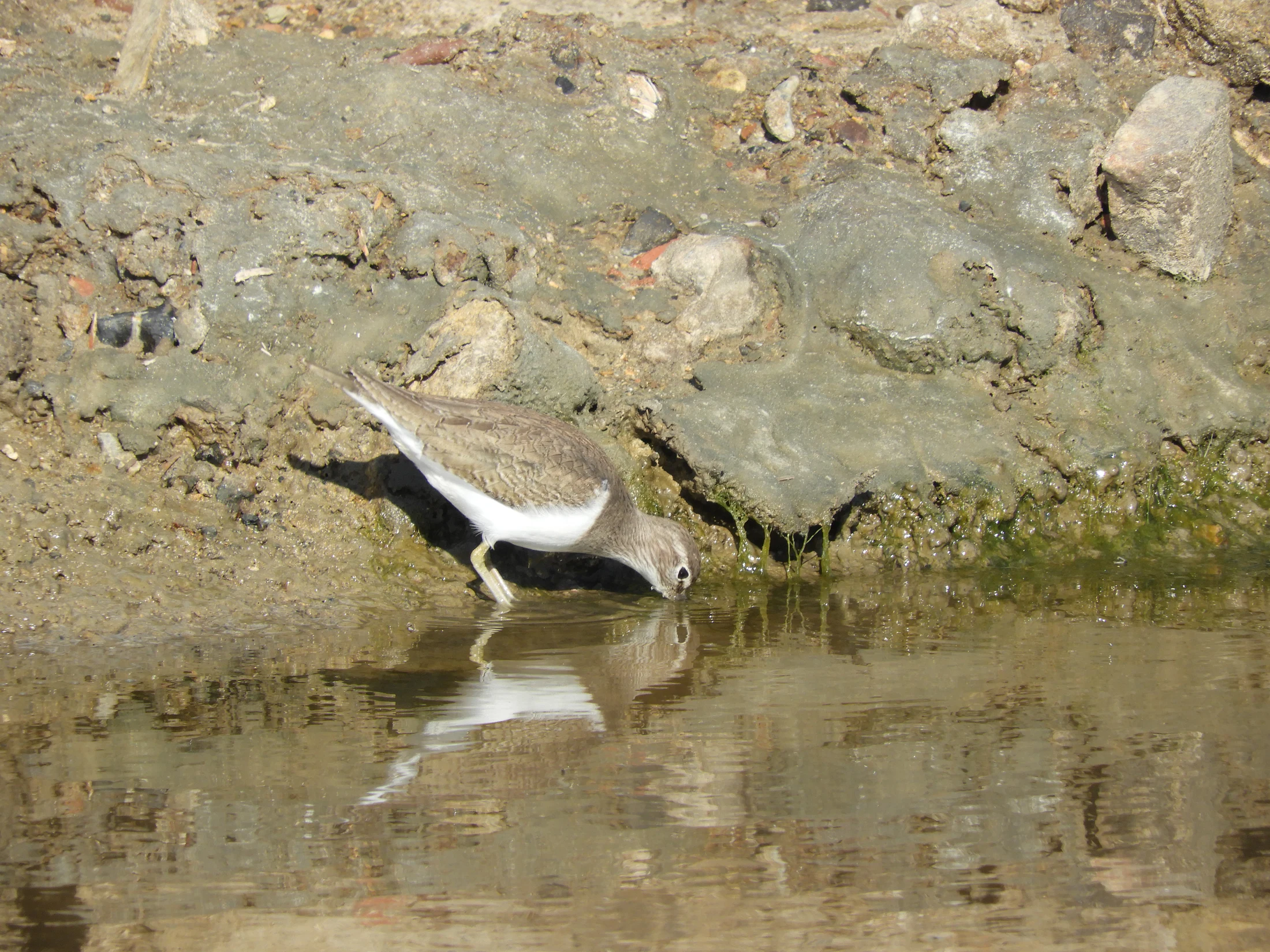 Un espejo tendido en el camino. Fotografía de David Collis Luque