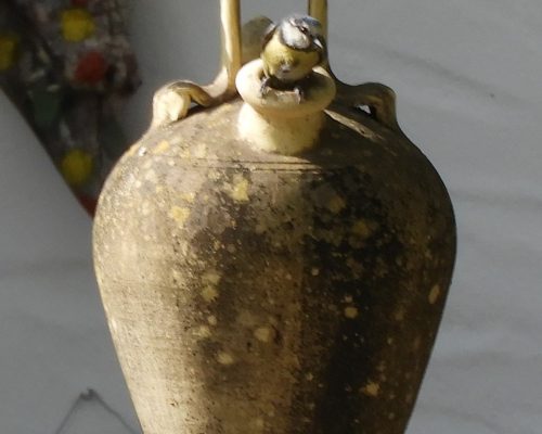 Herrerillo común en su nido